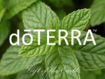 doTERRA doTERRA
